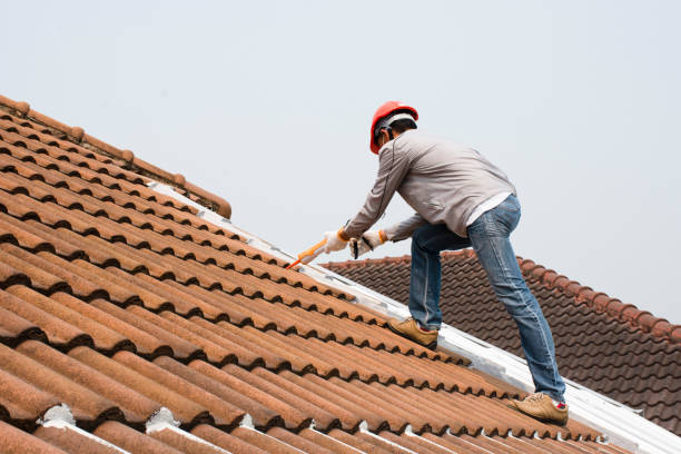 Best Gutter Installation and Repair  in Lost Hills, CA